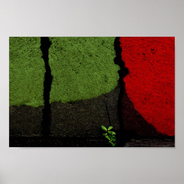 Red & Green Abstract Photograph Cool Unique Poster (Front)
