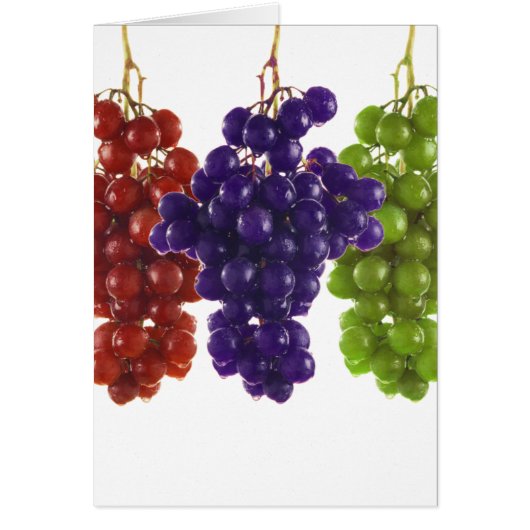 Red Green and Purple Grapes Cards (Front)