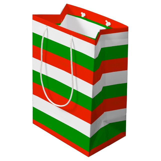 Red, Green and White Stripes  Medium Gift Bag (Back Angled)