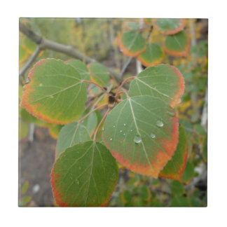 red green aspen leaf ceramic tile