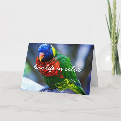 Red Green Blue Bird Live Life In Color Script Bold Card