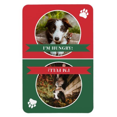 Red Green Dog Is Fed Photo Magnet