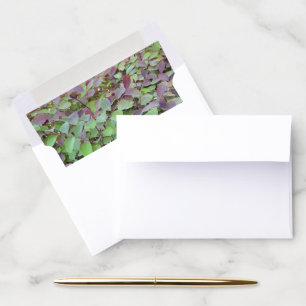 Red & Green Leaves Branches Photography Envelope Liner