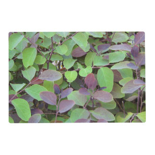 Red & Green Leaves Branches Photography Placemat