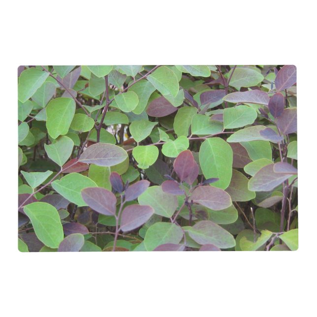 Red & Green Leaves Branches Photography Placemat (Front)