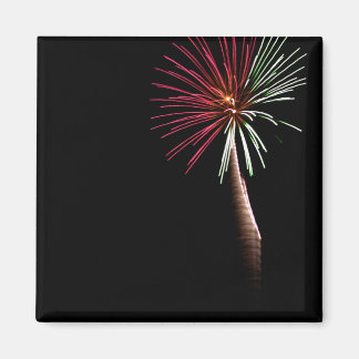 Red & Green Palm Magnet