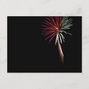 Red & Green Palm Postcard