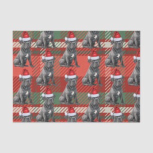 Red Green Plaid Cane Corso Dog Christmas Holiday Tissue Paper