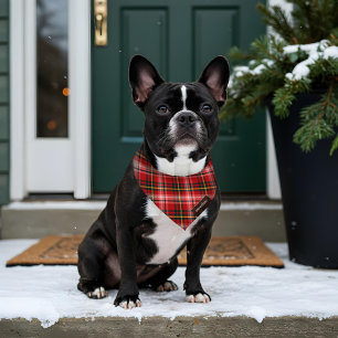 Red Green Plaid Pattern Faux Leather Pet Name Tag Pet Bandana Collar