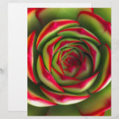 Red green spiral flower (Front/Back)