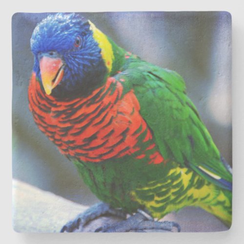 Red green yellow blue bird photo bold colorful stone coaster