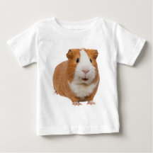 red guinea pig