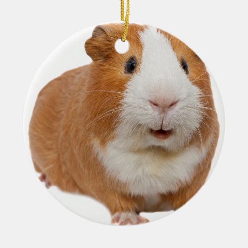 red guinea pig ceramic ornament