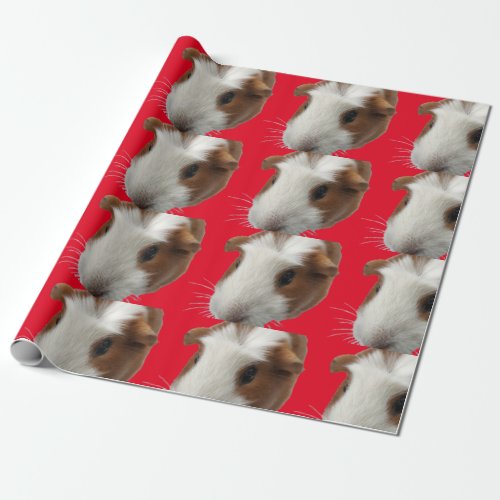 red guinea pig wrapping paper