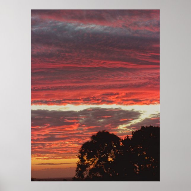 Red Gully Skies Poster (Front)