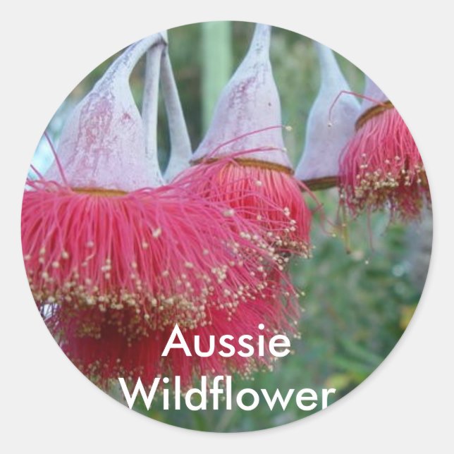 Red Gum Flower Classic Round Sticker (Front)