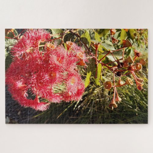 Red Gum in the Sun Adult Jigsaw Puzzle