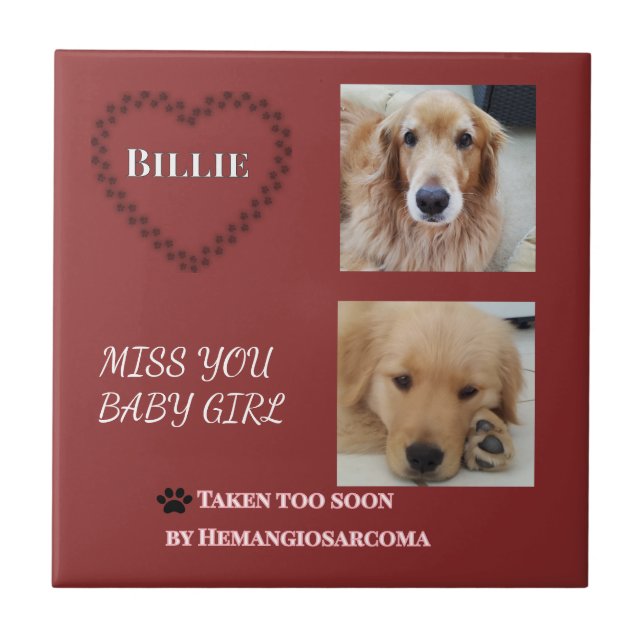 Red Halo Pet Remembrance  Ceramic Tile (Front)