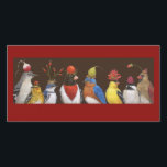 red hat night photo card<br><div class="desc">party where only one bird realizes that it is red hat night</div>