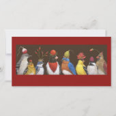 red hat night photo card (Front)