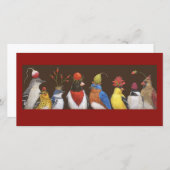 red hat night photo card (Front/Back)