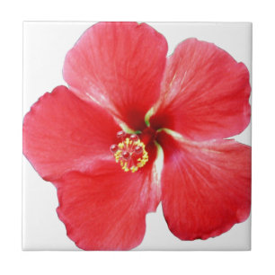 Red Hawaiian Hibiscus Flower Ceramic Tile