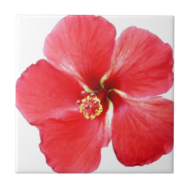 Red Hawaiian Hibiscus Flower Ceramic Tile (Front)