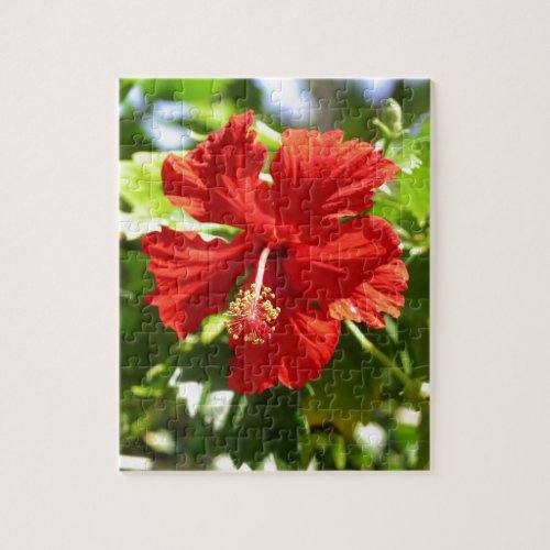 Red Hawaiian Hibiscus Flower Jigsaw Puzzle