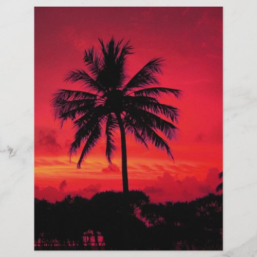 Red Hawaiian Sunset Exotic Palm Trees