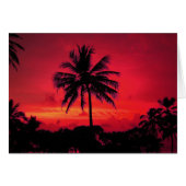 Red Hawaiian Sunset Exotic Palm Trees (Front Horizontal)