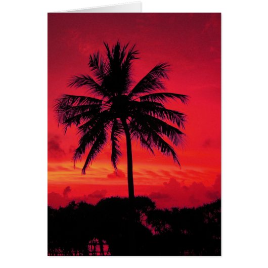 Red Hawaiian Sunset Exotic Palm Trees Cards (Front)