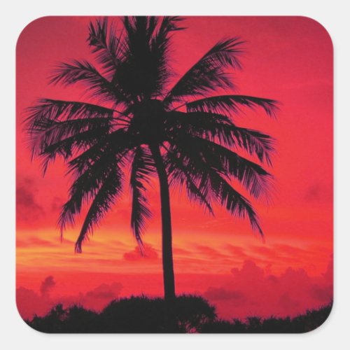 Red Hawaiian Sunset Exotic Palm Trees Square Sticker