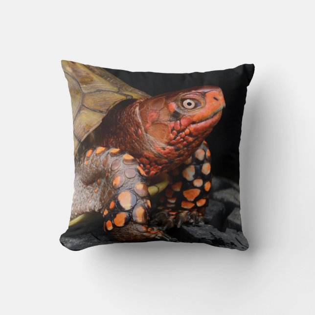 Red Head Eastern Box Turtle Throw Pillow (Front)