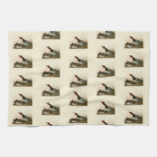 Red-headed Duck - from Audubon's Birds of America Kitchen Towel
