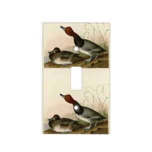 Red-headed Duck - from Audubon's Birds of America Light Switch Cover