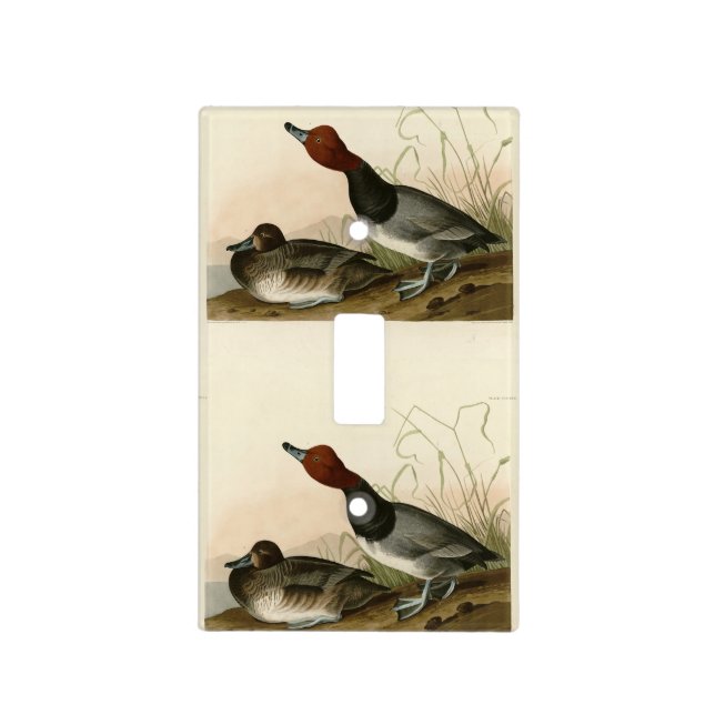 Red-headed Duck - from Audubon's Birds of America Light Switch Cover (Front)