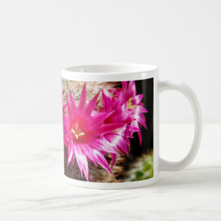 Red Headed Irishman Cactus, Customizable! Coffee Mug