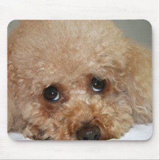 Red Headed Poodle Mouse Pad