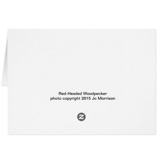 Red-Headed Woodpecker (Back Horizontal)