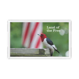 Red-headed Woodpecker 2 Acrylic Tray