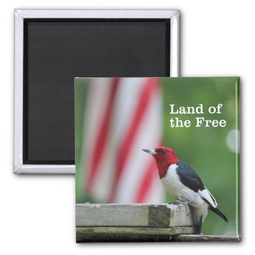 Red_headed Woodpecker 2 Magnet