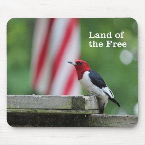 Red_headed Woodpecker 2 Mouse Pad