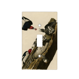 Red headed Woodpecker - Audubon's Birds of America Light Switch Cover
