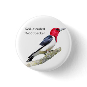 Red-Headed Woodpecker Button