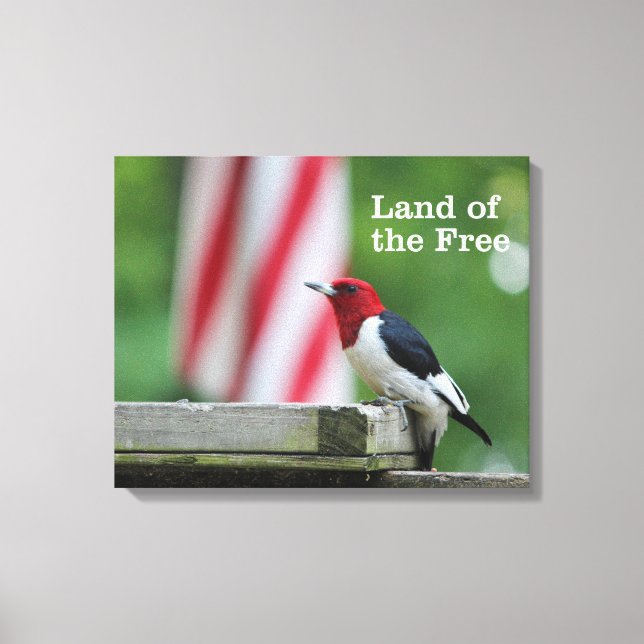 Red-headed Woodpecker Canvas Print (Front)