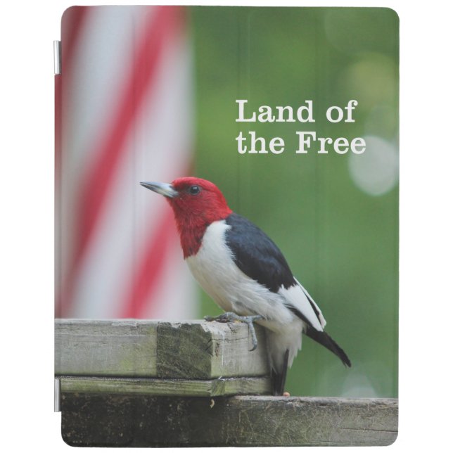 Red-headed Woodpecker iPad Smart Cover (Front)