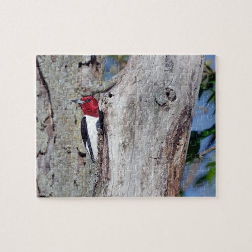 Red_headed Woodpecker Jigsaw Puzzle