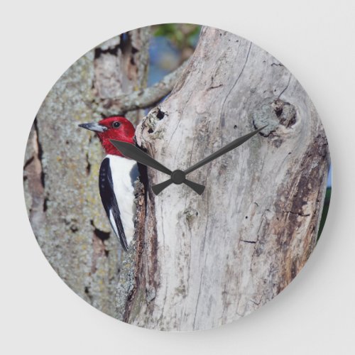 Red_headed Woodpecker Large Clock