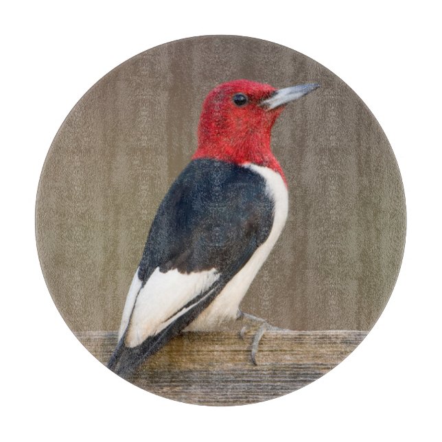 Red-headed Woodpecker on fence Cutting Board (Front)