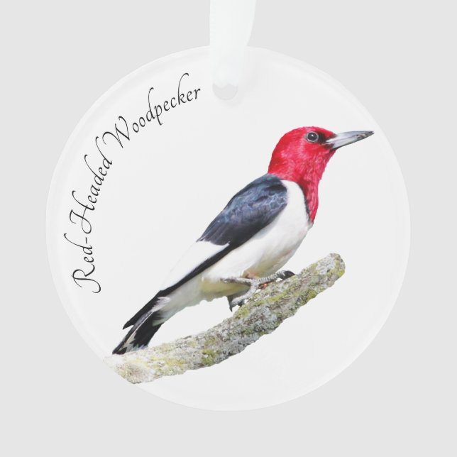 Red-Headed Woodpecker Ornament (Front)